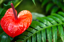 Free website template by Free-Template.co